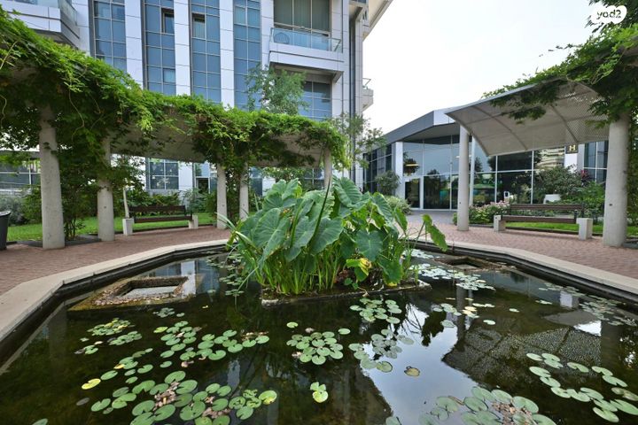 דירה, שדרות לוי אשכול, כוכב הצפון, תל אביב יפו