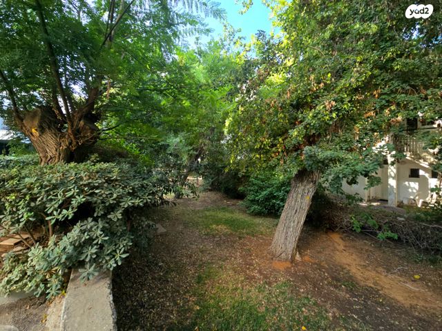 דירה, כפר סבא