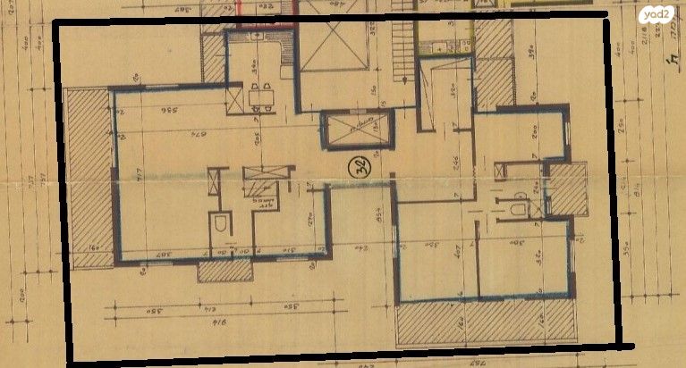 הרמן צבי שפירא 