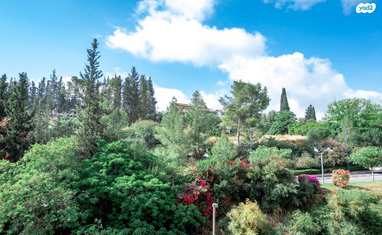 דירה, העלייה, בית שמש