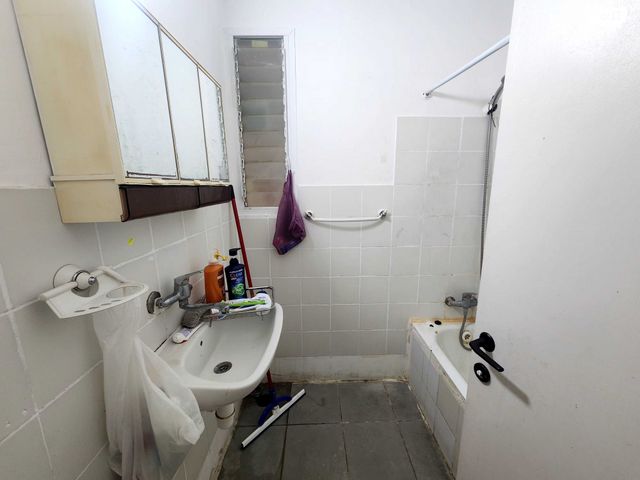 דירה, אורן, החורש, חריש