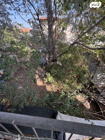 דופלקס, כלניות 1, נווה זית, לוד