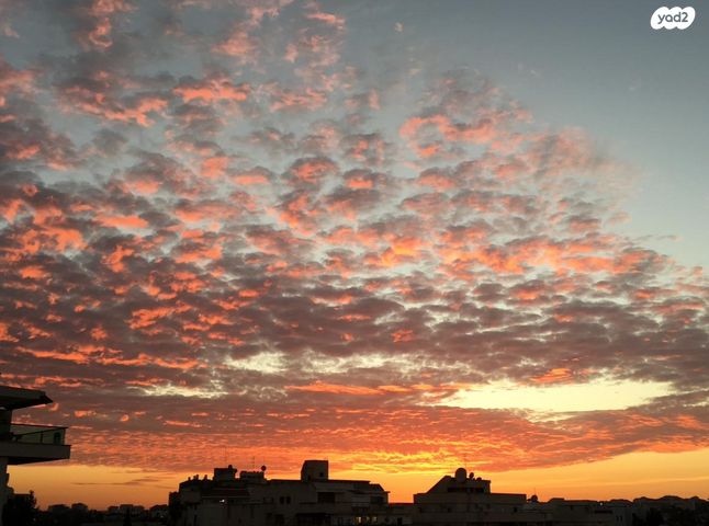 דירה, קרית ויצמן, רעננה