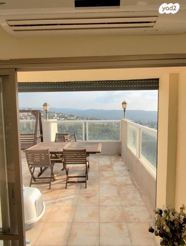 הרב אסף דוד 