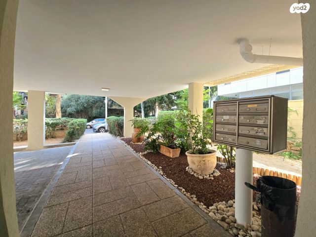 דירה, כפר סבא