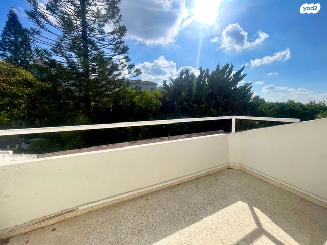 דירת גן, גאולי תימן, רמת אשכול, חיפה