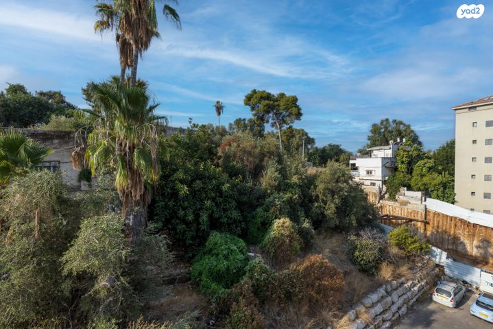 דירה, דגל ישראל, מרכז מערבי, נס ציונה