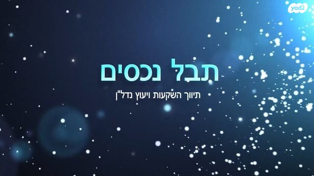 מגרשים