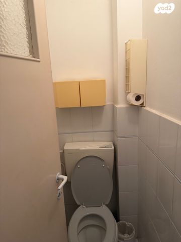 דירה, שמריהו לוין, אברמוביץ', ראשון לציון