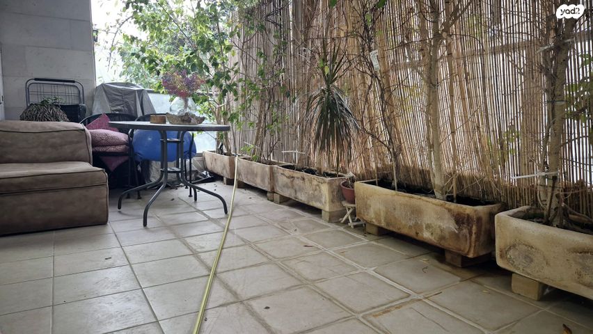 דירה, שברץ, נווה דוד רמז, רעננה