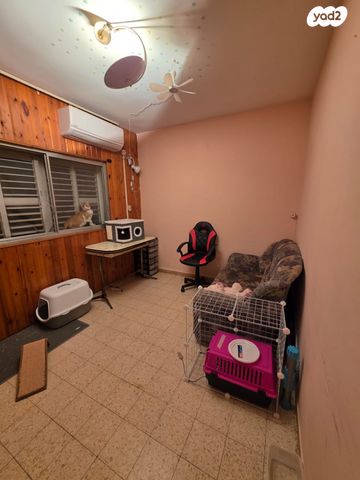 דירה, אבישור, ערד