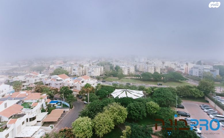 דירה, זכריה חתוכה, נווה מרמורק, רחובות