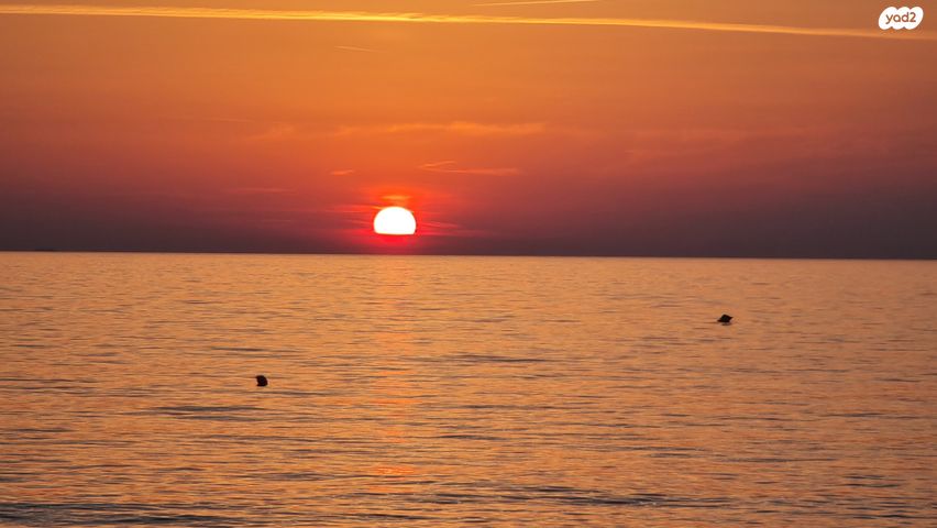 בית פרטי/ קוטג'