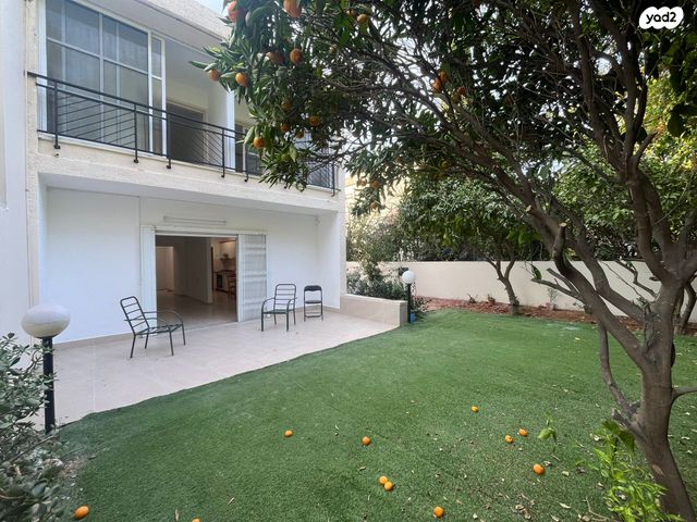 השלושים ושלושה 13