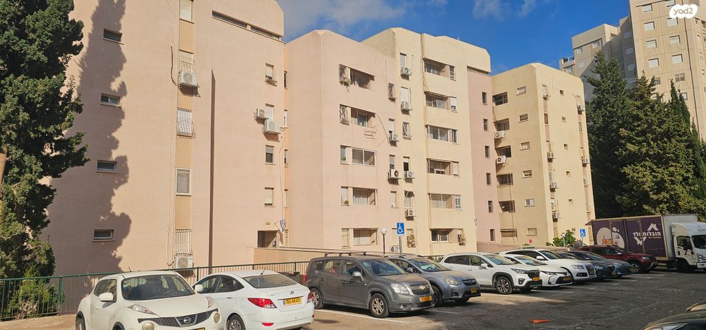 משה גוט לוין 