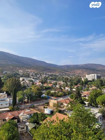 עליית הנוער 