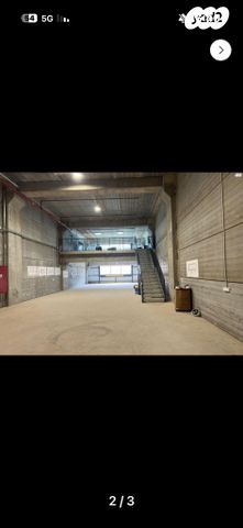 בן ציון גליס 