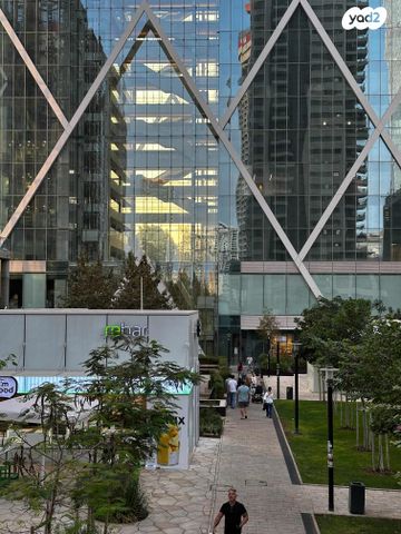 ליאונרדו דה וינצ'י 