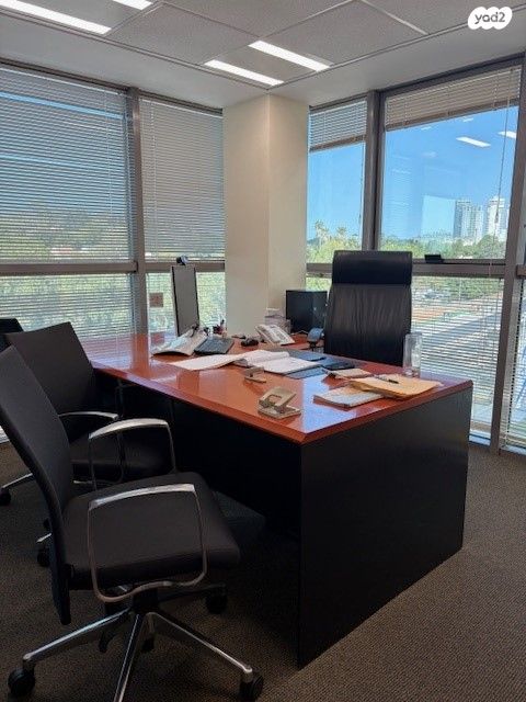 ראול ולנברג 