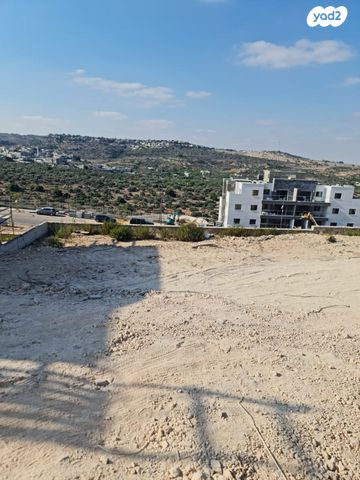 מגרשים, צופים