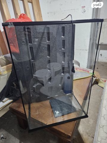 תמונת מודעה - חיות מחמד