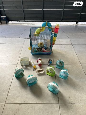 תמונת מודעה - חיות מחמד