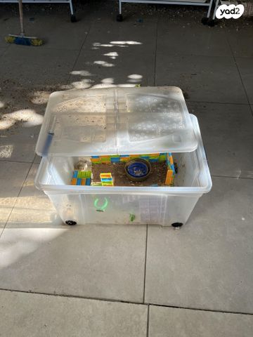 תמונת מודעה - חיות מחמד