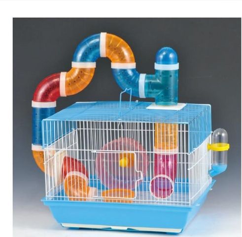 תמונת מודעה - חיות מחמד