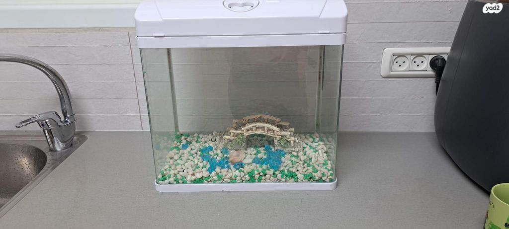 תמונת מודעה - חיות מחמד