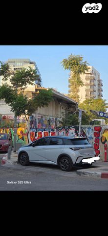 בי.ווי.די דולפין