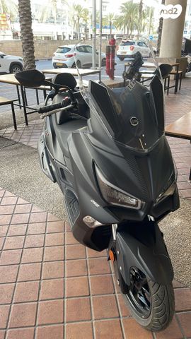 סאן יאנג ג'וי-מקס Z-250