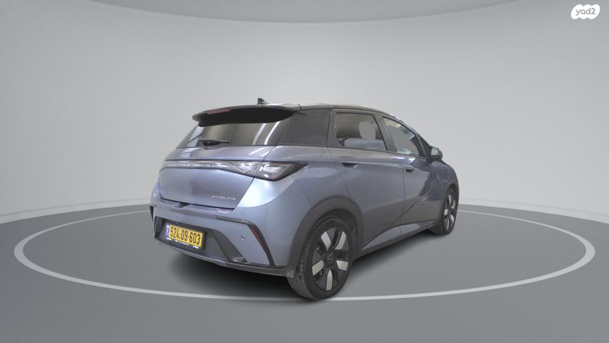 בי.ווי.די דולפין