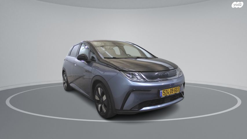 בי.ווי.די דולפין