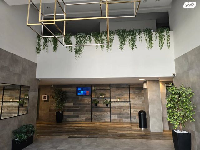 אלישע הנביא 24