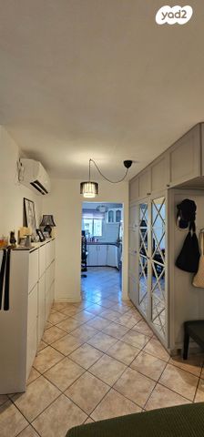 אריה בן אליעזר 101