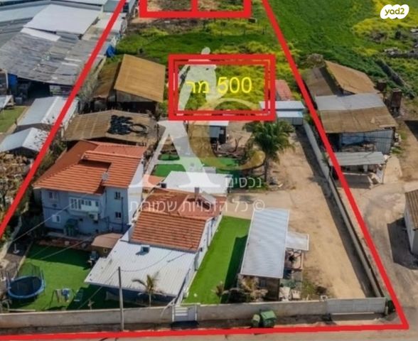 דרך אלי ביטון 101