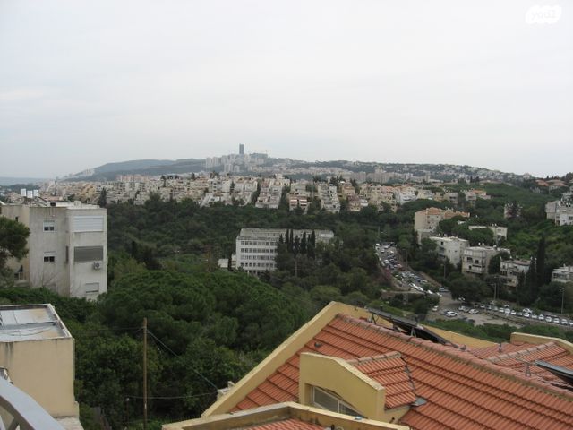 שדרות ודג'ווד 8