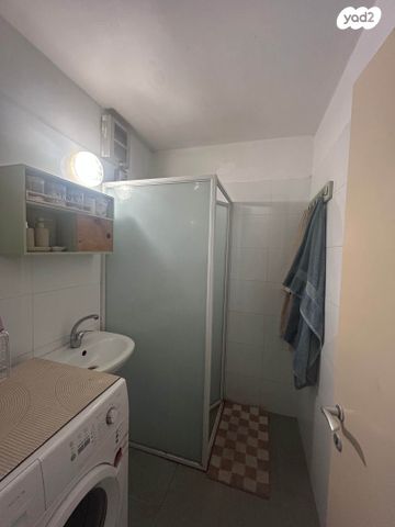 מעפילי אגוז 65