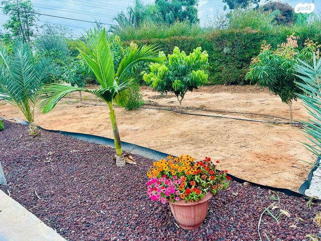 מעלה הרימון 54