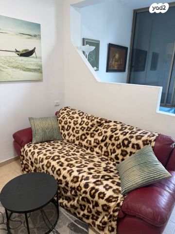 דוד פרנקפורטר 7