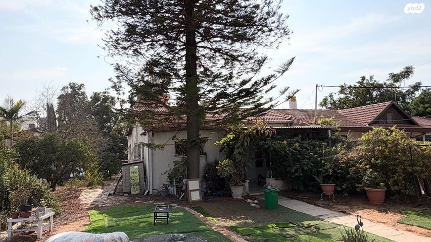 הפרטיזנים 9