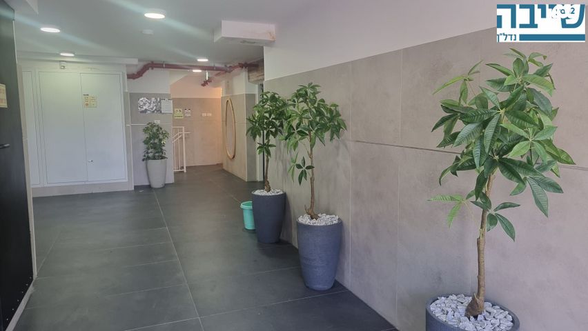 דירה, טובה וטוביה מילר, א' / צפון מזרח העיר, רחובות