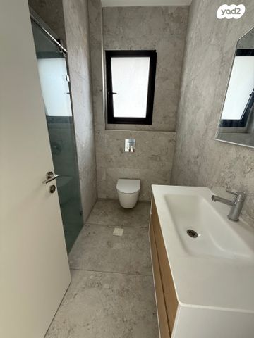 גג/ פנטהאוז, מרכז, כפר סבא