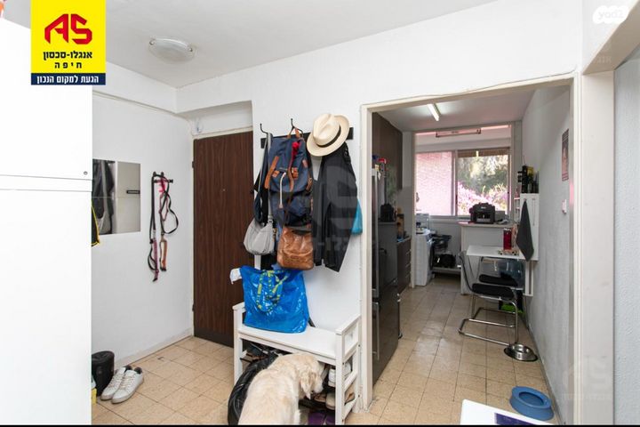 דירה, דרייפוס, קרית שפרינצק, חיפה