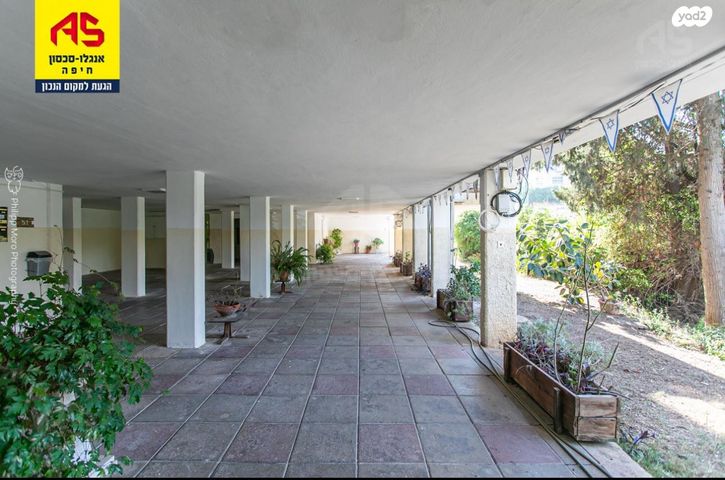 דירה, דרייפוס, קרית שפרינצק, חיפה