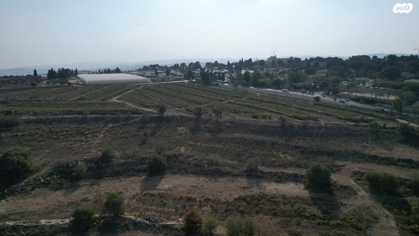 דירה, יצחק ארנסט נבנצל, מורדות ארנונה, ירושלים