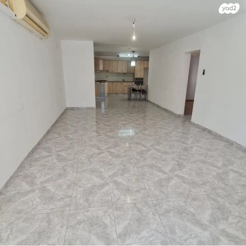 אריה בן אליעזר 