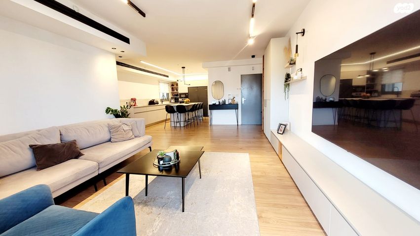 דירה, הגל, החותרים, טירת כרמל