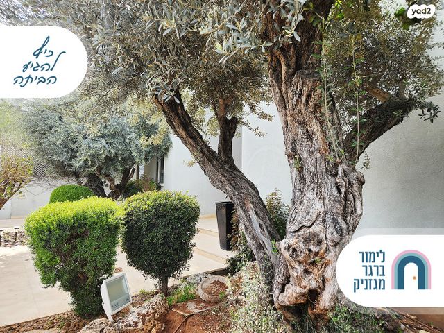 קרית קריניצי