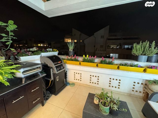 דופלקס, הדרים, הדרים החדשה, כפר סבא